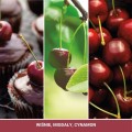 Yankee Candle Pałeczki zapachowe Black Cherry 100ml 16439