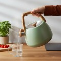 Czajnik na indukcję gaz z gwizdkiem tradycyjny elegancki zielony 2,5L 18715
